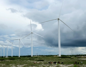 中广核投资！<em>巴西</em>180MW风电项目投产了