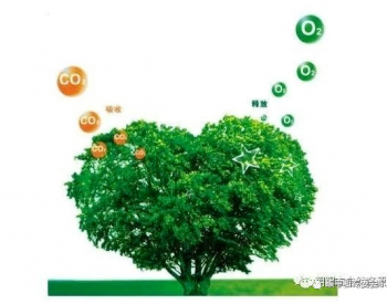 <em>广东河源</em>市连平县东水村等6个林业碳普惠项目核证减排量备案