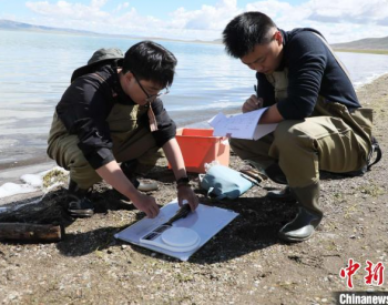 西藏色林错自然保护区草原生态保护鱼类监测项目