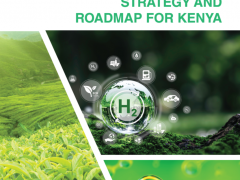肯尼亚携手欧盟推出<em>绿氢战略</em>路线图