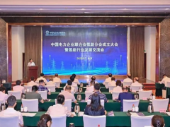中国电力企业联合会成立氢能<em>分会</em>