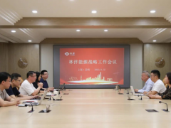 林洋能源总裁陆永华召开战略工作会议，积极部署储