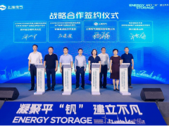安徽巢湖经济开发区与上海电气签约