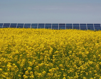 GreenGo Energy和Encavis将在德国合作开发500MW<em>太阳能产</em>能