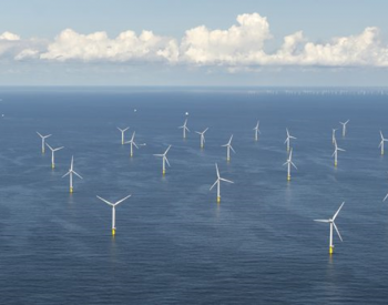 最多23GW！巴西国家石油公司正式进军海上风电