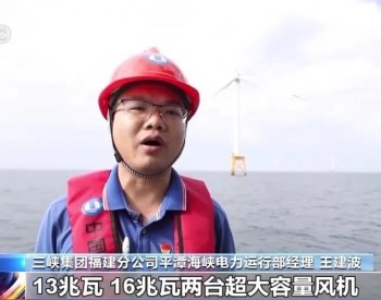 <em>福建平潭</em>海上风电场全容量并网发电！