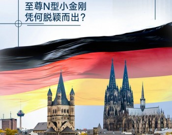 零碳屋顶N时代 | 德国高端社区新选择，至尊N型小金刚凭何脱颖而出？