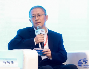 马明伟参加第六届中国企业论坛