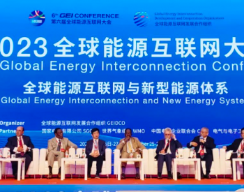 李振国出席全球能源互联网大会：中国光伏为全球能源转型贡献巨大