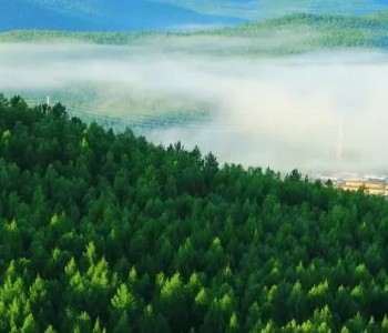 中国林业集团被长江三峡集团实施托管！附解读