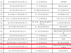 能链智电入选浙江省创新型中小企业名单，成唯一一