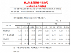 赛力斯9月销售新能源汽车10246辆，同比减少41.77%