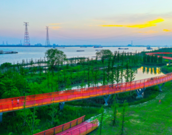 沿江一岛多廊道！江苏泰州靖江新增受保护自然湿地面积逾2500公顷