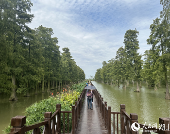 湖北武汉：以高品质生态环境支撑高质量发展