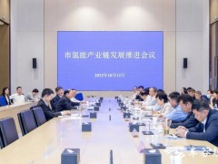 <em>湖北省</em>武汉市氢能产业链发展推进会在武汉经开区召开