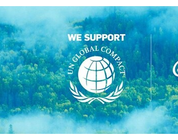<em>大华股份</em>正式加入联合国全球契约组织，积极推动全球可持续发展