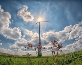 国家能源集团：可再生能源装机容量实现历史性突破！