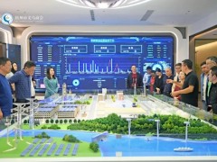 聚焦低碳经济，浙江杭州<em>义乌</em>商会走进力源科技探索氢燃料电池商业化