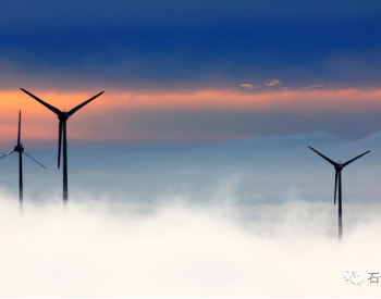 全球陆上单体最大风电项目首批风机吊装完成：一年发电<em>180</em>亿度