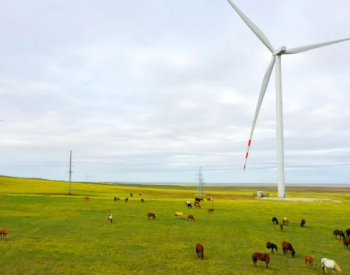阳光新能源<em>哈萨克斯坦</em>风电项目成功并网