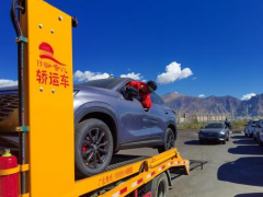 青藏铁路<em>拉萨</em>西站货场今年已到达商品汽车3.1万辆