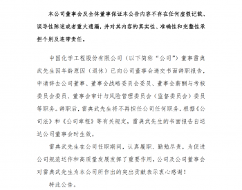 中国化学董事雷典武因年龄原因（退休）辞职