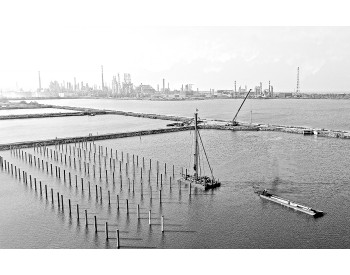 山东<em>青岛炼化</em>首个水上光伏发电项目开建