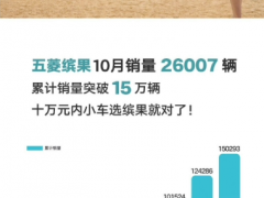 五菱缤果汽车10月销量26007辆，累计突破15万辆