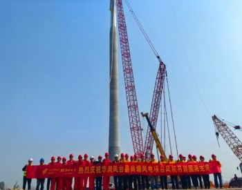 苏皖新能源公司凤台大基地尚塘风电项目38台<em>风机吊装</em>完成
