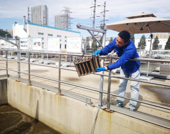 国际首座城市污水厌氧氨氧化项目通过技术成果鉴定