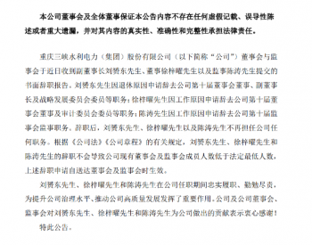 重庆三峡水利电力（集团）股份有限公司董事、
