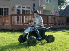 特斯拉儿童版Cyberquad电动四轮车重新在美上市，去年因安全<em>问题</em>被召回