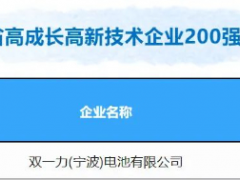 <em>双一力储能</em>入选2023年浙江省高成长高新技术企业200强