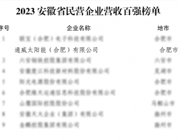 <em>通威</em>太阳能（合肥）有限公司荣登2023年度安徽省民营企业双百强榜单