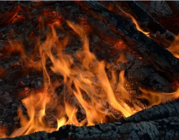 國際環保組織：呼吁停止支持燃燒森林生物質發電的補貼，燃燒樹木不是清潔能源