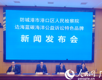 广西港口区人民检察院： 做足“六海”文章 打造海洋公益诉讼品牌