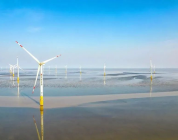 踏“绿”而来 向“风”而行 —— 广东湛江市交投集团参与海上风电项目
