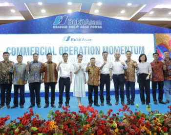 印尼玻雅2×660MW坑口电站项目正式投入商业运行