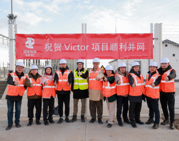 上海电力维克托132兆瓦光伏发电项目顺利并网