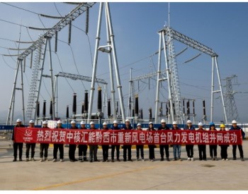 中核集团在贵州首个风电项目成功并网