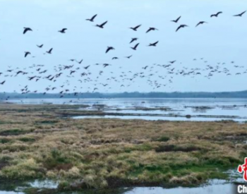 湖北咸宁立法保护西凉湖 共绘水清岸绿生态画卷