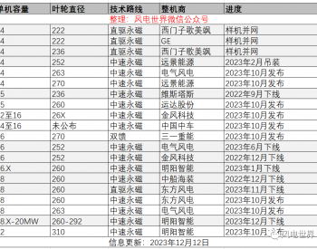 国内首个18兆瓦批量<em>订单</em>，花落谁家？