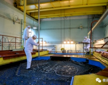 俄研究所公布BN-1200快中子反应堆堆芯物理模型