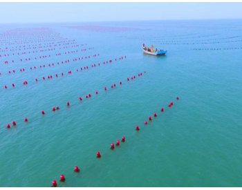 护航海洋碳汇 保障绿色产业 中国人寿财险海洋碳汇