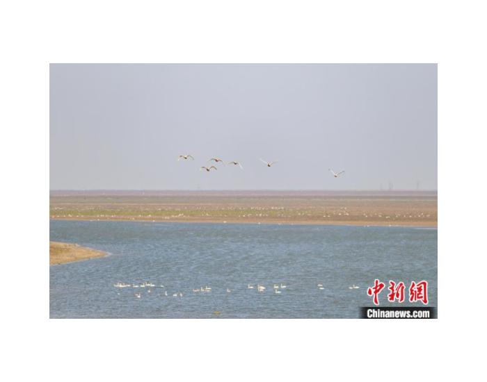 中国首部湖泊总磷污染防治地方性法规施行 保护鄱
