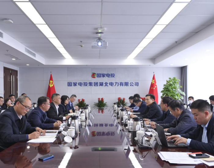 国家电投党组成员、副总经理陈海斌到湖北公司