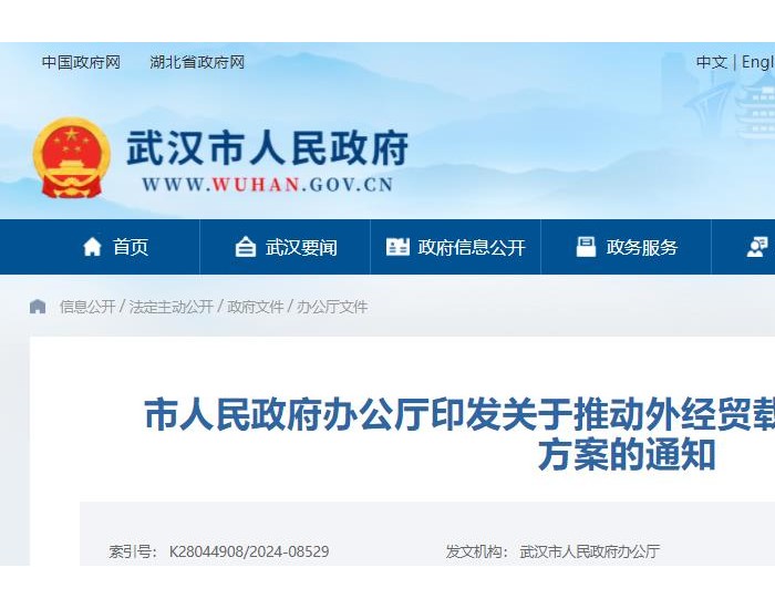 湖北武汉：支持开展新能源车出口等业务