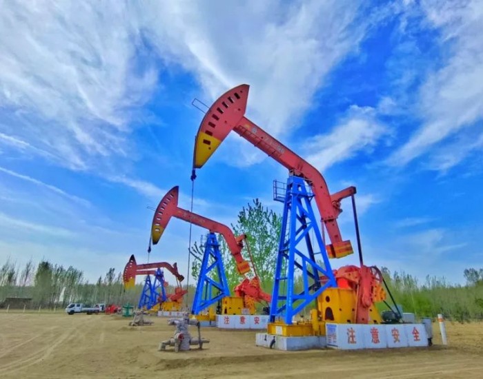 中国石油<em>天然气股份有限公司</em>华北油田分公司实现2024年首季“开门红”
