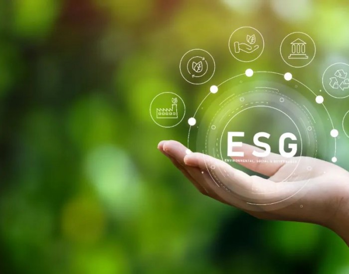 ESG再添殊荣！<em>阿特斯集团</em>获EcoVadis银级可持续发展评级