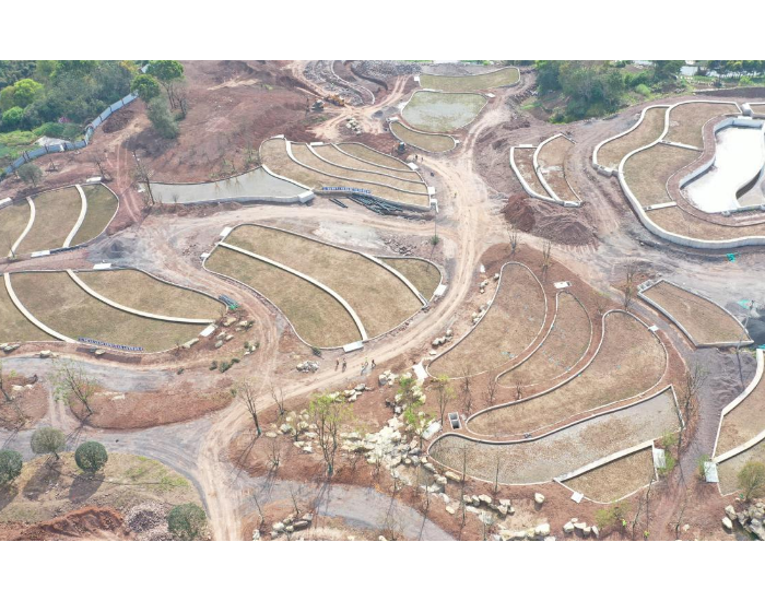 重庆苦竹溪生态修复项目4号尾水湿地建设全力推进